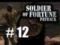 Soldier Of Fortune: Payback