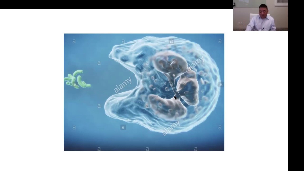 All Videos