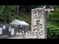 京都・三室戸寺のハート型アジサイ、いま見頃！