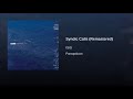 Syndic Calls Video preview