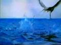 The Old Man And The Sea part 1