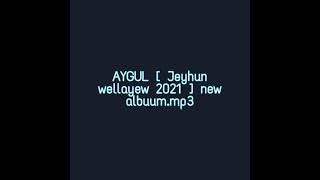 Aygul Jeyhun Wellayew 2021 New Albuum.mp3