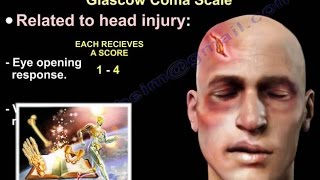 Trauma Scoring System - Everything You Need To Know - Dr. Nabil Ebraheim