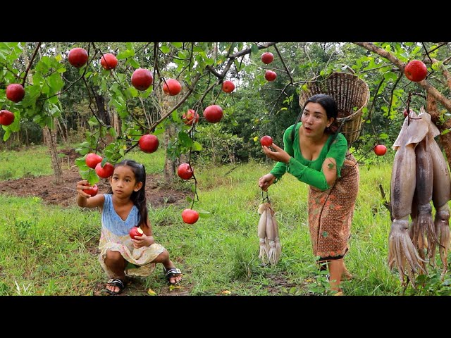 Play this video Found pick red apple in forest- Mother cooking squid hot spicy chili for lunch eat with daughter
