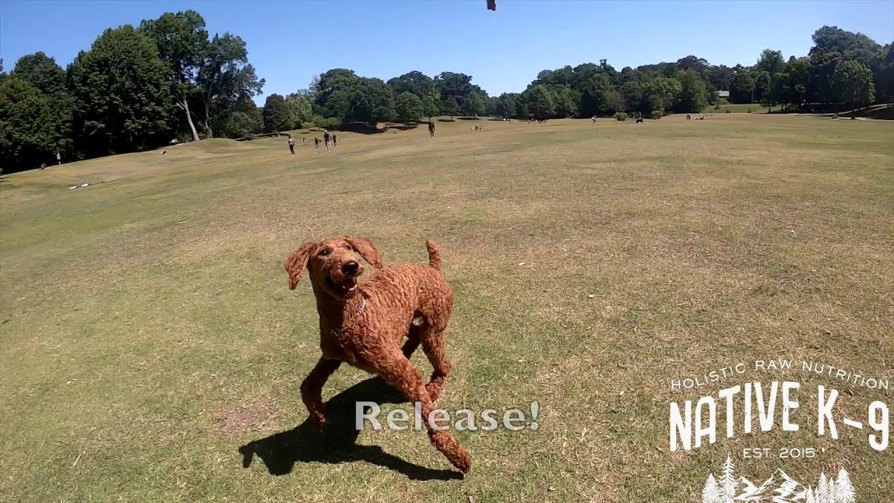 All Videos