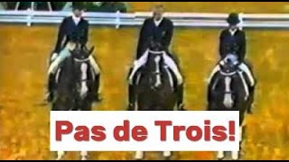 Youll Never See A Dressage Performance Like This Again Klimkes Final Pas De Trois