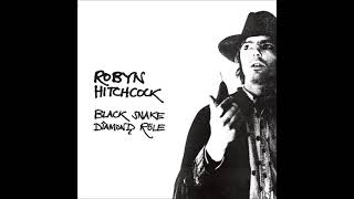 Watch Robyn Hitchcock Its A Mystic Trip video