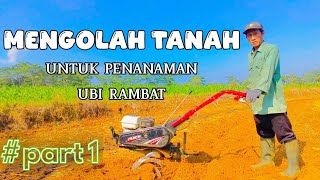 1 Menah Tanah Untuk Persiapan Penanaman Ubi Rambat