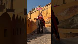 Must Visit Places In Jaipur