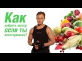 Спортивная диета (Владимир Молодов) Спортивная диета (Владимир Молодов)