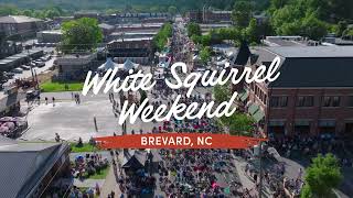 White Squirrel Weekend In Brevard, Nc