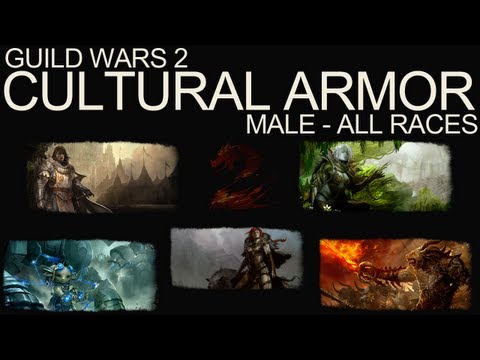 Guild Warsarmor on Guild Wars 2 Cultural Armor Sets All Races Female Guild Wars