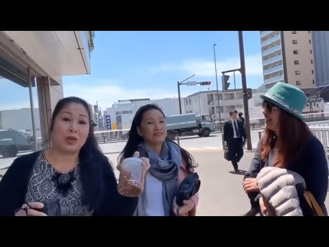 Hồng Vân bị "Bóc Phốt" tại Nhật - Khám Phá Nhật Bản Cùng Nghệ Sĩ Phần 2 | Hồng Vân Vlog