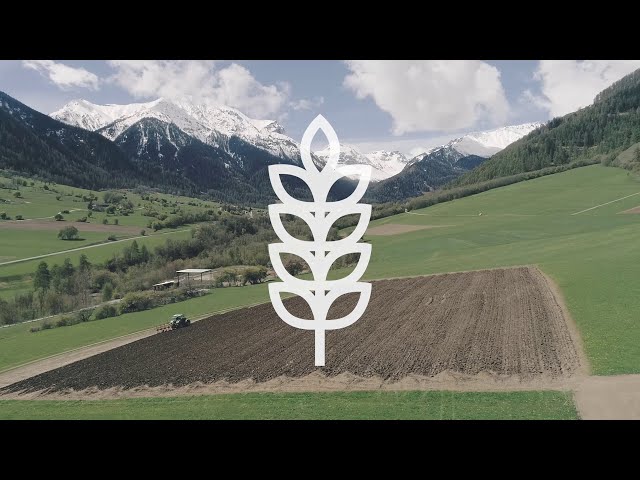Watch Agricultura Val Müstair | Graun on YouTube.