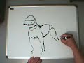 Freestyle Art : American Pit Bull Terrier