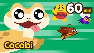 Baby Lizard Is Coming The Lizard Song And More Animal Song For Kids Cocobi