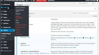 Installing A Security Audit Log On Your Wordpress Website.