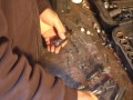 Remove Broken Spark Plug - Tune Up Durango - Which Ignition Wire Goes Where