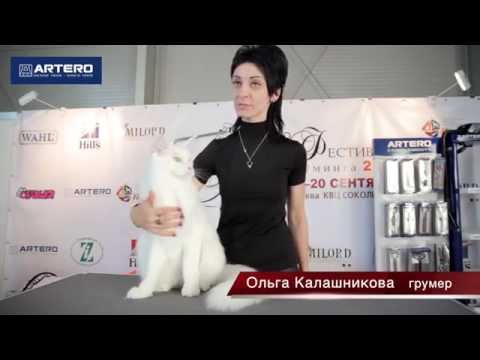 Ольга калашникова мастер класс Ольга калашникова мастер класс