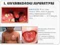microbiologia medica streptococos