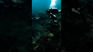 Underwater Ufo Caught On Camera