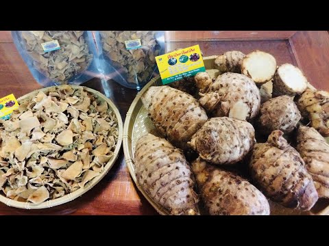 Công dụng của nghệ trắng trong điều trị bệnh, Bán nghệ trắng (LH: 0985113004)