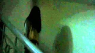 Pawang Trailer