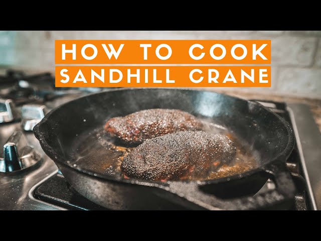 Watch HOW TO COOK SANDHILL CRANE | CAST IRON SKILLET | HARDCORE CARNIVORE BLACK SEASONING on YouTube.