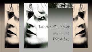 Watch David Sylvian Promise video