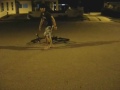 street fighter enda jua, entah aaaaaaaahh..
