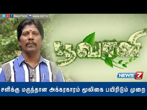 How to grow 'Akkarakaaram' which prevents cold | Poovali | News7 Tamil 