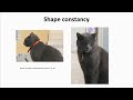 Lec 5 | MIT 9.00SC Introduction to Psychology, Spring 2011