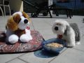 Peluches Trudi Classic serie Cani!!!