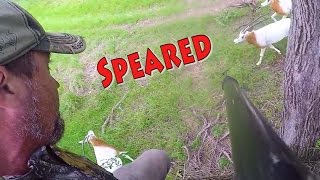 Spear Hunting Texas Big Game 4K Running Kill Spear Hunting Texas Big Game 4K Running Kill