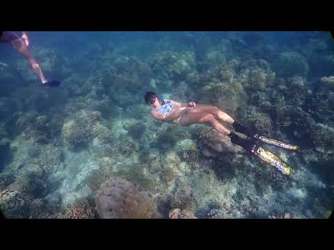 ทริปดำน้ำ Freedive (หมู่เกาะสุรินทร์) by Zanook Dive
