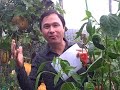 Best Post Black Friday Deal For Gardeners.. Save 50% Off Saturday November 26 Only