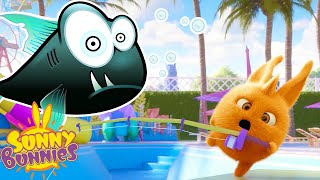 Sunny Bunnies - Catching Fish Season 3 Cartoons For Kids