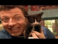 🐱 🦌 Zoboomafoo with the Kratt brothers 137 - Cats | HD | Full Episode | Animal Shows for Kids 🐱