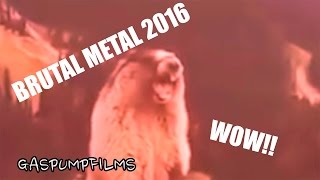 Most Brutal Metal Scream Ever 2016 Screaming Beaver Remix