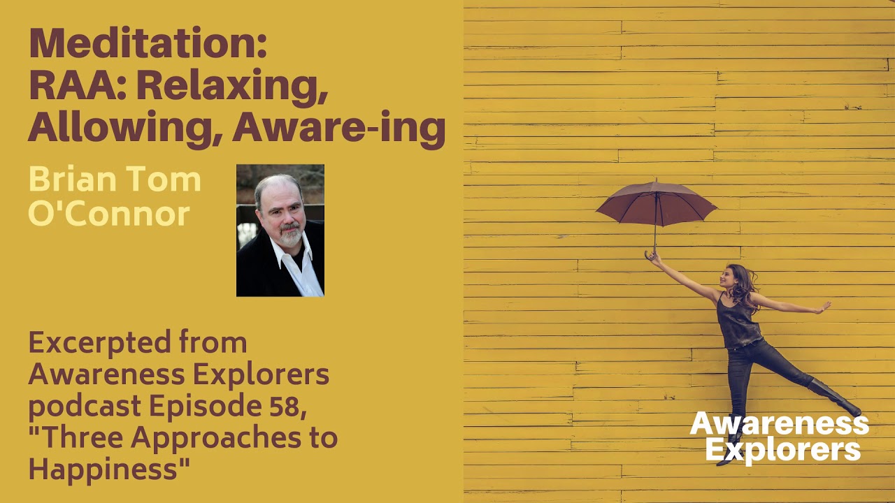 Brian Meditations from Awareness Explorers