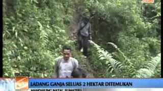 Siswi Smp Diperkosa 13 Pelajar