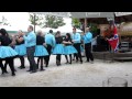 Square Dance Demonstration im Schwabengarten am 23.07.2011Einmarsch SQD (1)