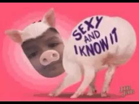 Секс Человек Трахнули Свинья