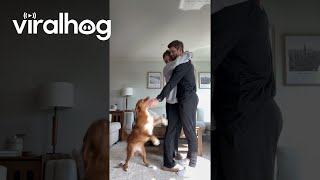 Pup Wants A Hug Too || Viralhog