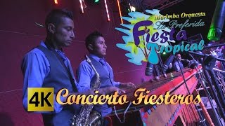 Fiesta Tropical - Concierto Fiesteros / Calidad 4K