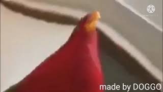 Red Bird Meme Aware Scale And Echno