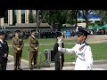 rememberance day