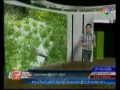 ตามทันเกษตร