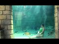 Mermaid Melissa 4:32 female breath hold record underwater