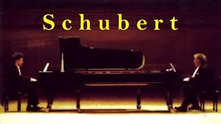 Schubert - Fantasia In F Minor Kissin, Levine